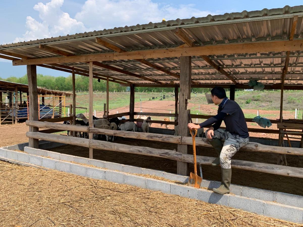 ฟาร์มแกะภูกระดึง Waraporn Valley Ban Nong Tum Extérieur photo